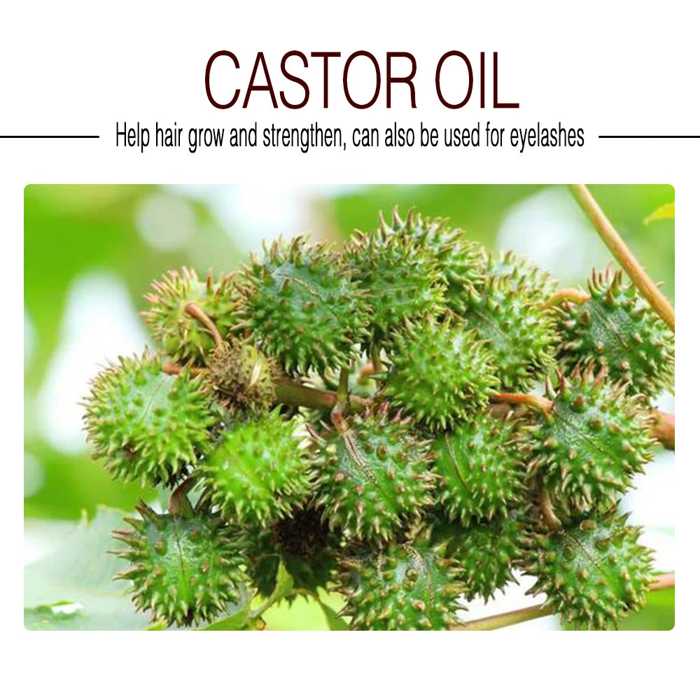 Close-up of fresh green castor oil plant seeds as part of a natural oils bundle for massage