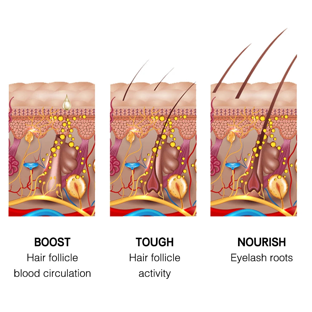 Diagram showing effects of natural oils bundle for massage on hair follicle blood circulation and activity plus eyelash root nourishment