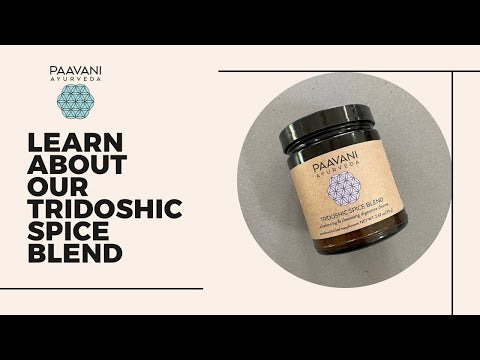 Jar of DC-PAAVANI Ayurveda tridoshic spice blend with labeled packaging on a gray background
