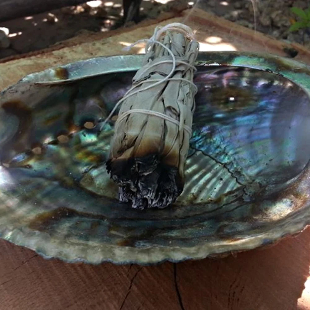 Palo santo white sage smudge stick placed on a colorful abalone shell for spiritual cleansing