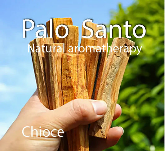 Hand holding natural palo santo incense sticks for aromatherapy by Sacred Self Wellness