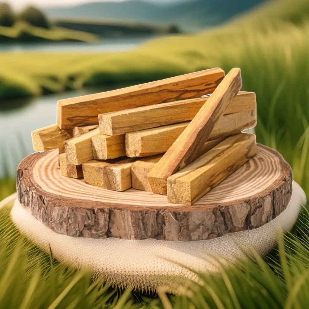SACRED SELF WELLNESS palo santo incense sticks arranged on a wooden slice outdoors with blurred green background