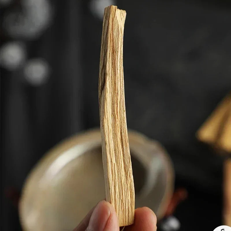 Hand holding a single palo santo incense sticks piece for cleansing and aromatherapy use