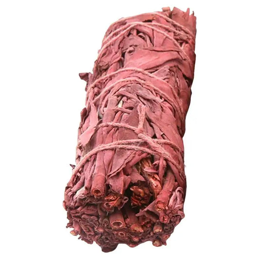 Dragon blood sage smudge stick tightly wrapped with dried red leaves and natural twine