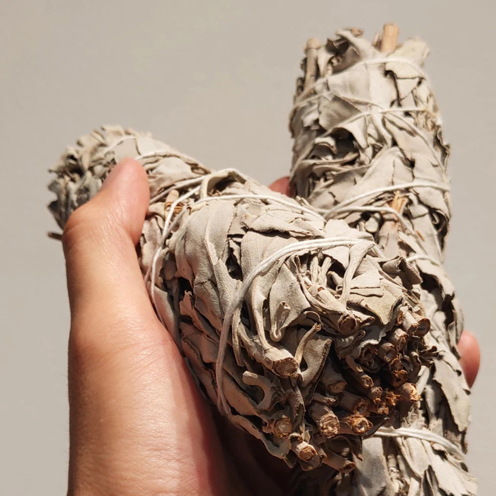 Hand holding two palo santo white sage smudge stick bundles for cleansing and spiritual practices