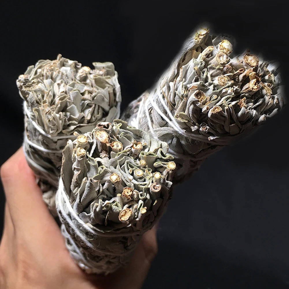 Hand holding three bundled palo santo white sage smudge sticks with tightly wrapped white string