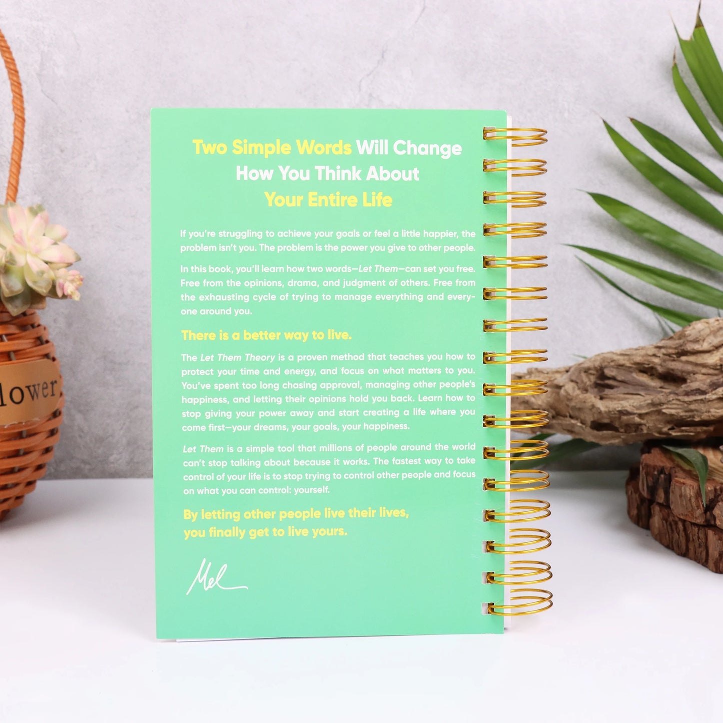 Let Them Theory book Mel Robbins with green cover and gold spiral binding displayed upright