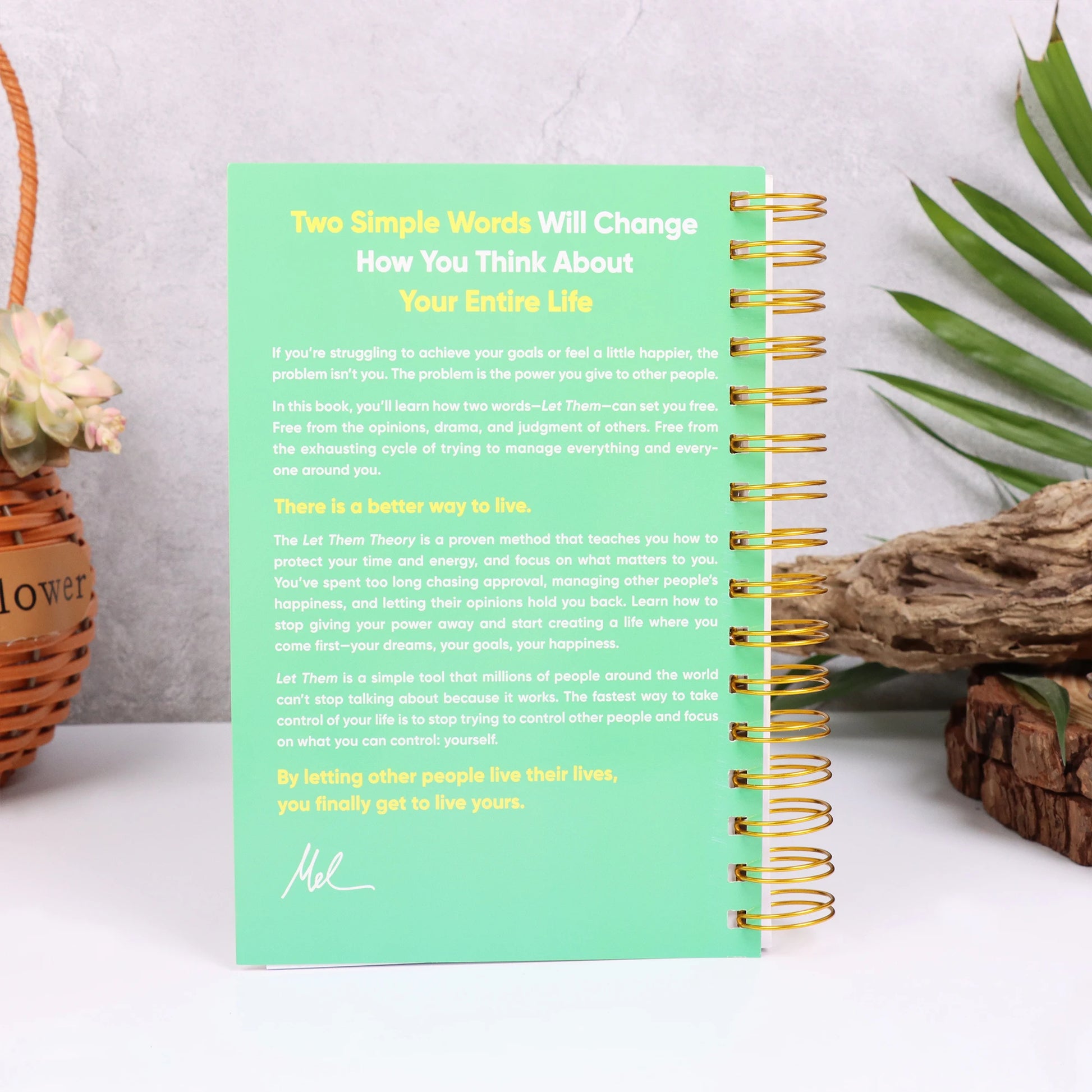 Let Them Theory book Mel Robbins with green cover and gold spiral binding displayed upright